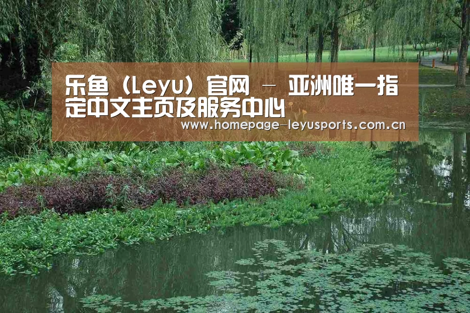 案例展示一(图1)