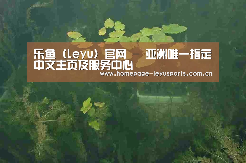 案例展示三