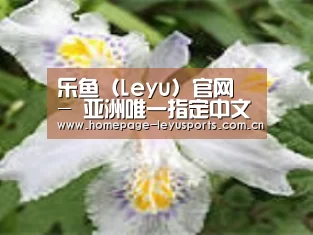 产品名称二
