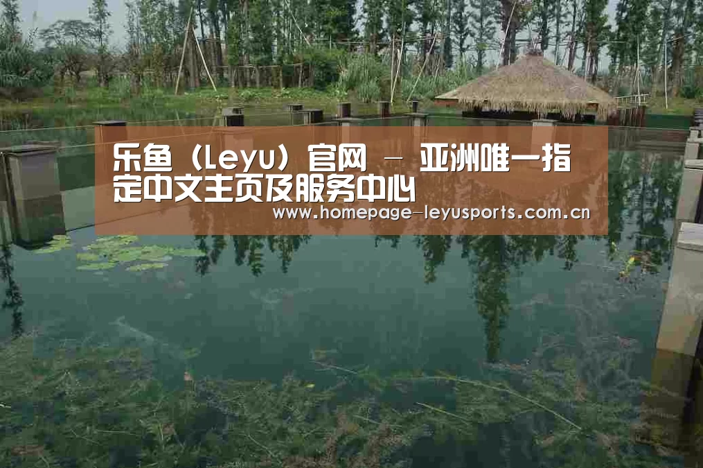 案例展示二