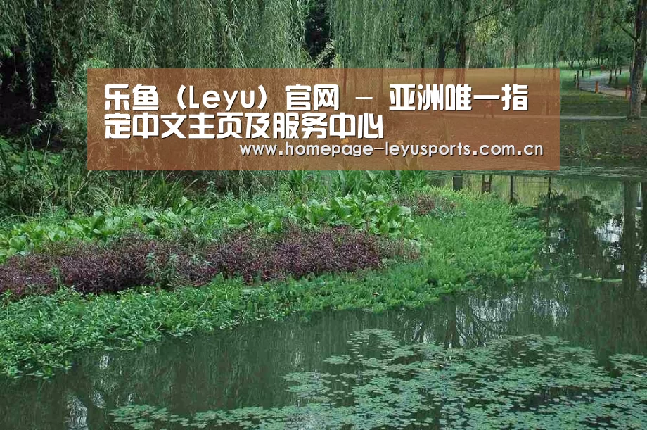 案例展示一