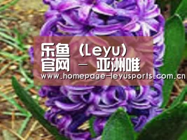 产品名称八