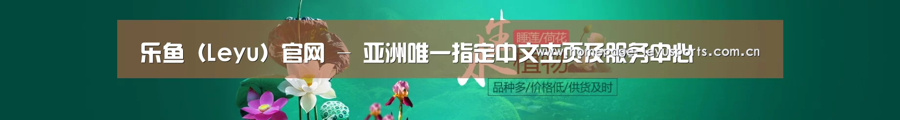 鲜花水草花卉网站模板