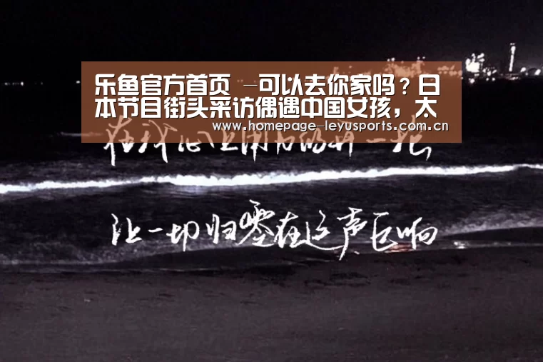  登录入口