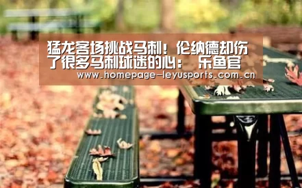  登录入口