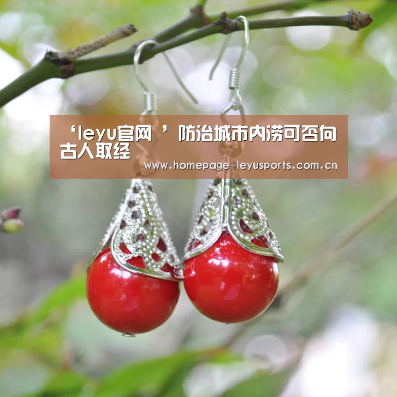 ‘leyu官网 ’防治城市内涝可否向古人取经