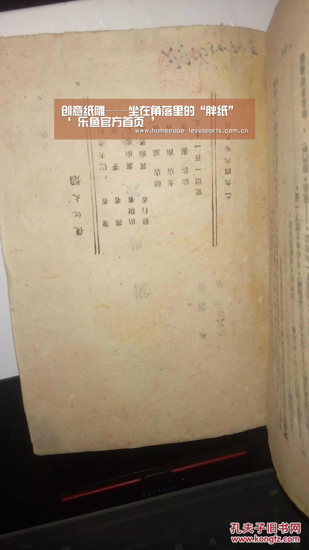 创意纸雕---坐在角落里的“胖纸”‘ 乐鱼官方首页 ’(图3) leyu官网