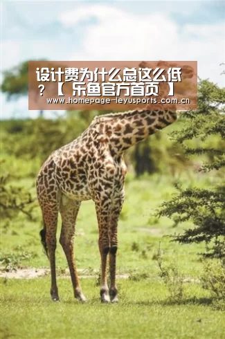 设计费为什么总这么低?【 乐鱼官方首页 】